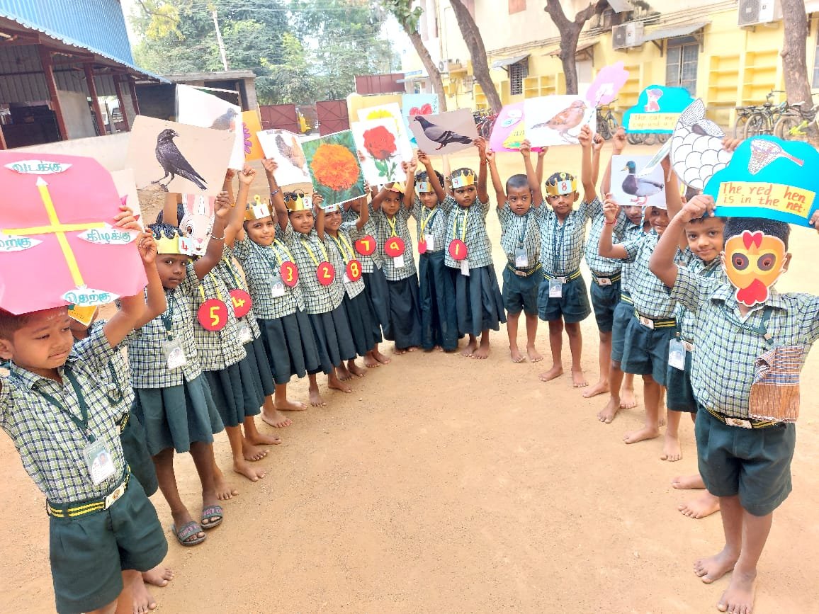 whatsapp image 2026 02 13 at 8.50.26 pm